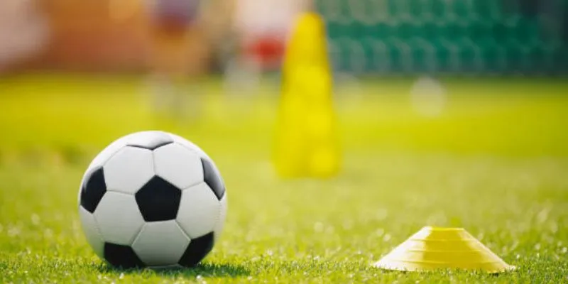 Hướng dẫn đọc bảng tỷ lệ để tránh kèo dụ